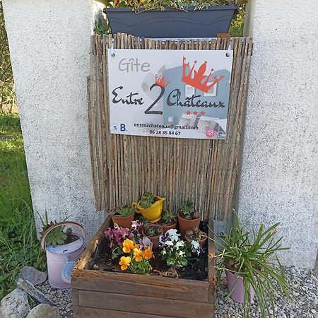 Entre 2 Chateaux Onzain Exteriér fotografie