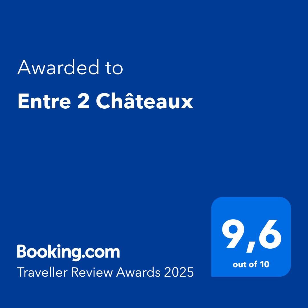 Entre 2 Chateaux Onzain Exteriér fotografie